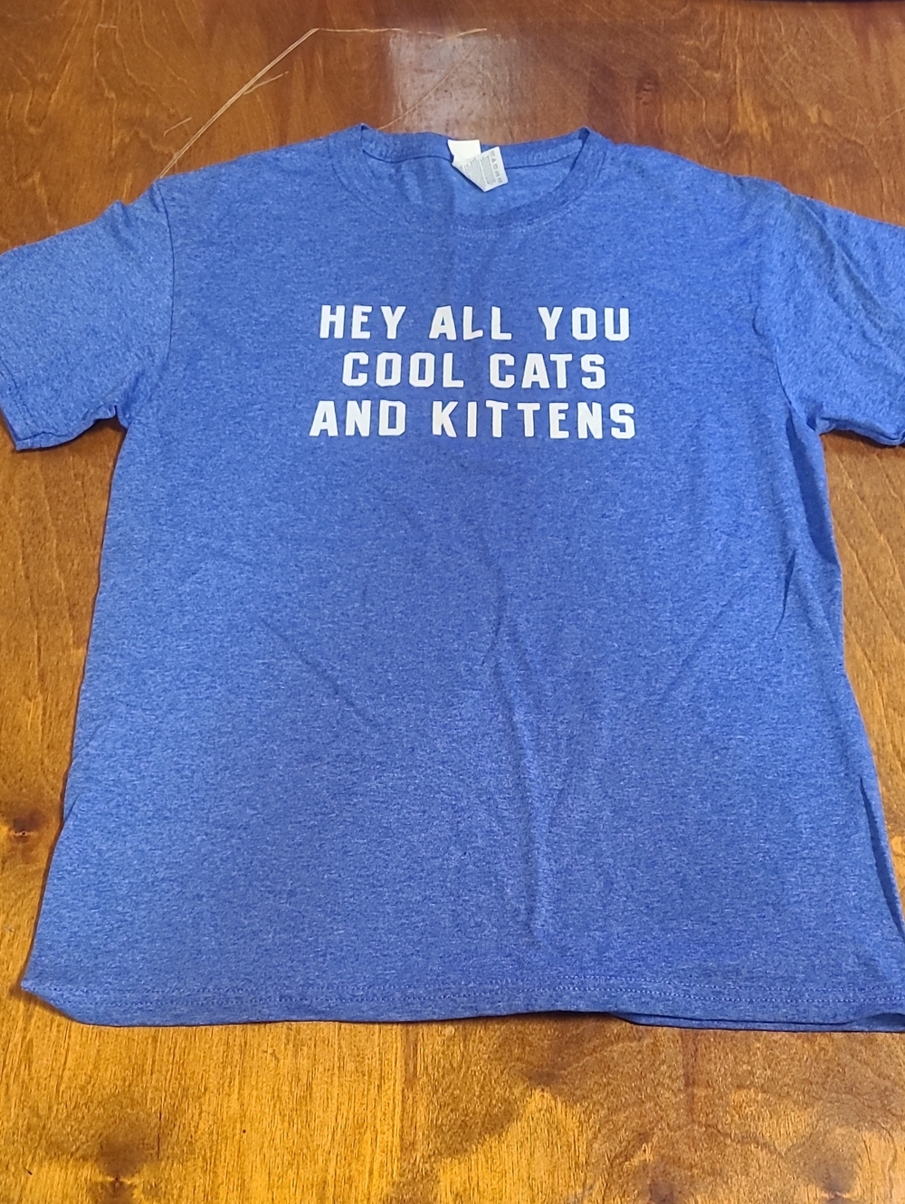 Fruit of the Loom Blue Graphic Tee - "HEY ALL YOU COOL CATS AND KITTENS"